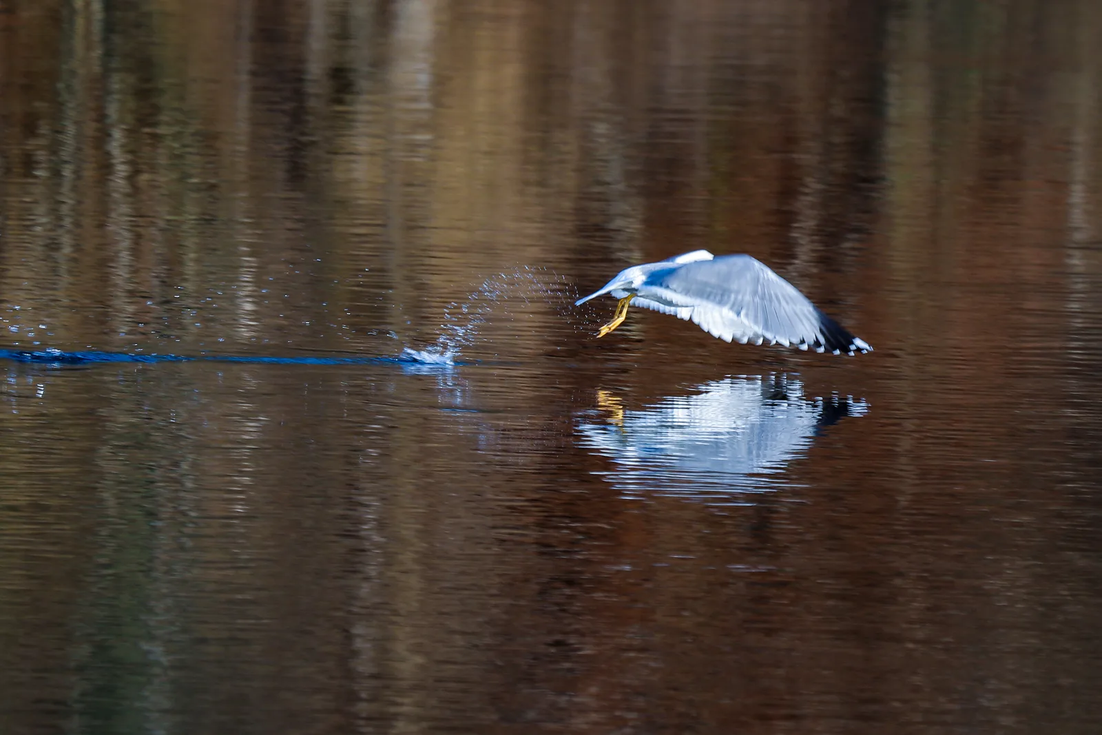 TakeOff_1