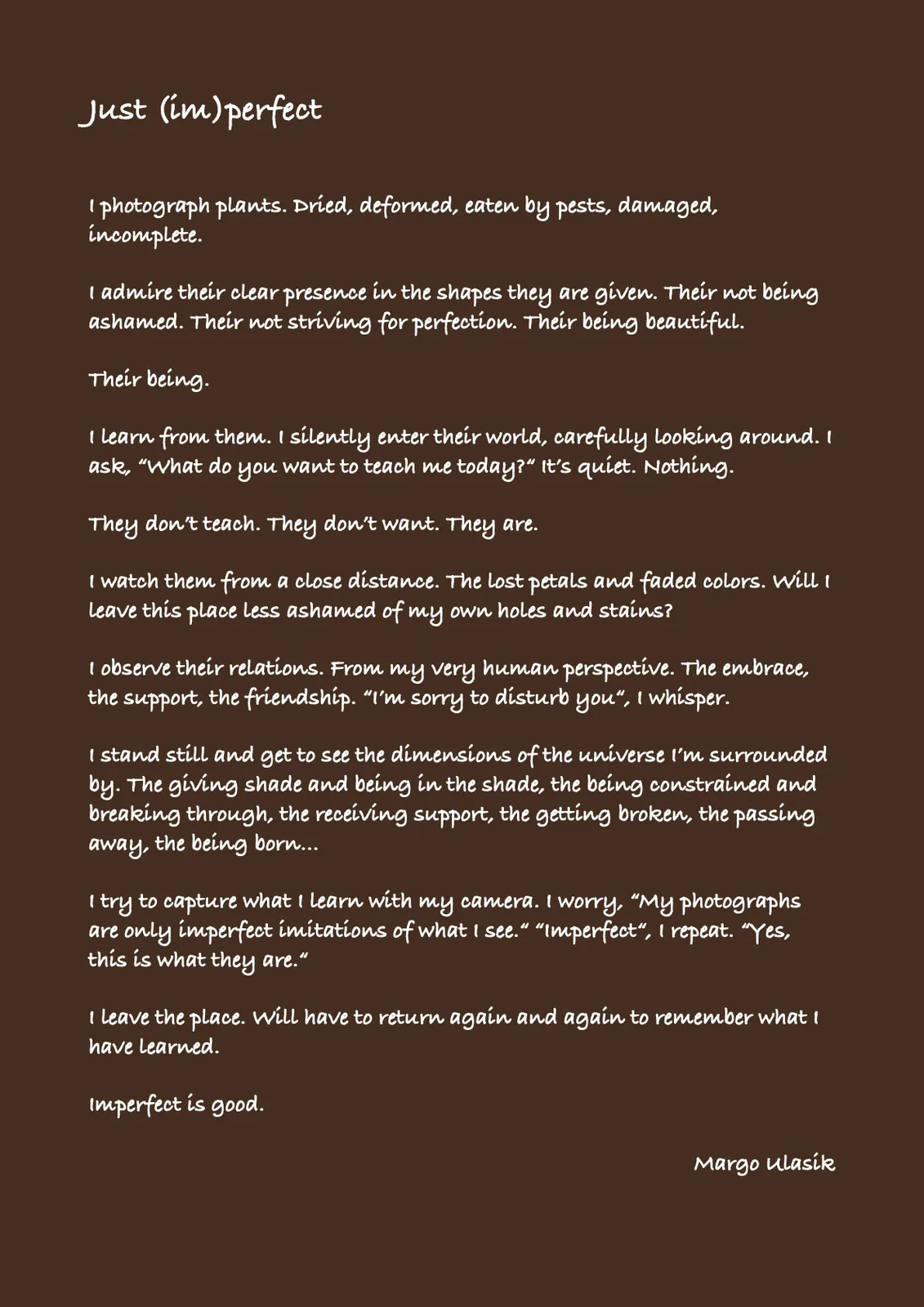 A few thoughts about the photographs