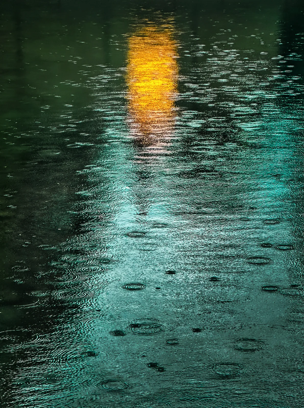 Rainlight.