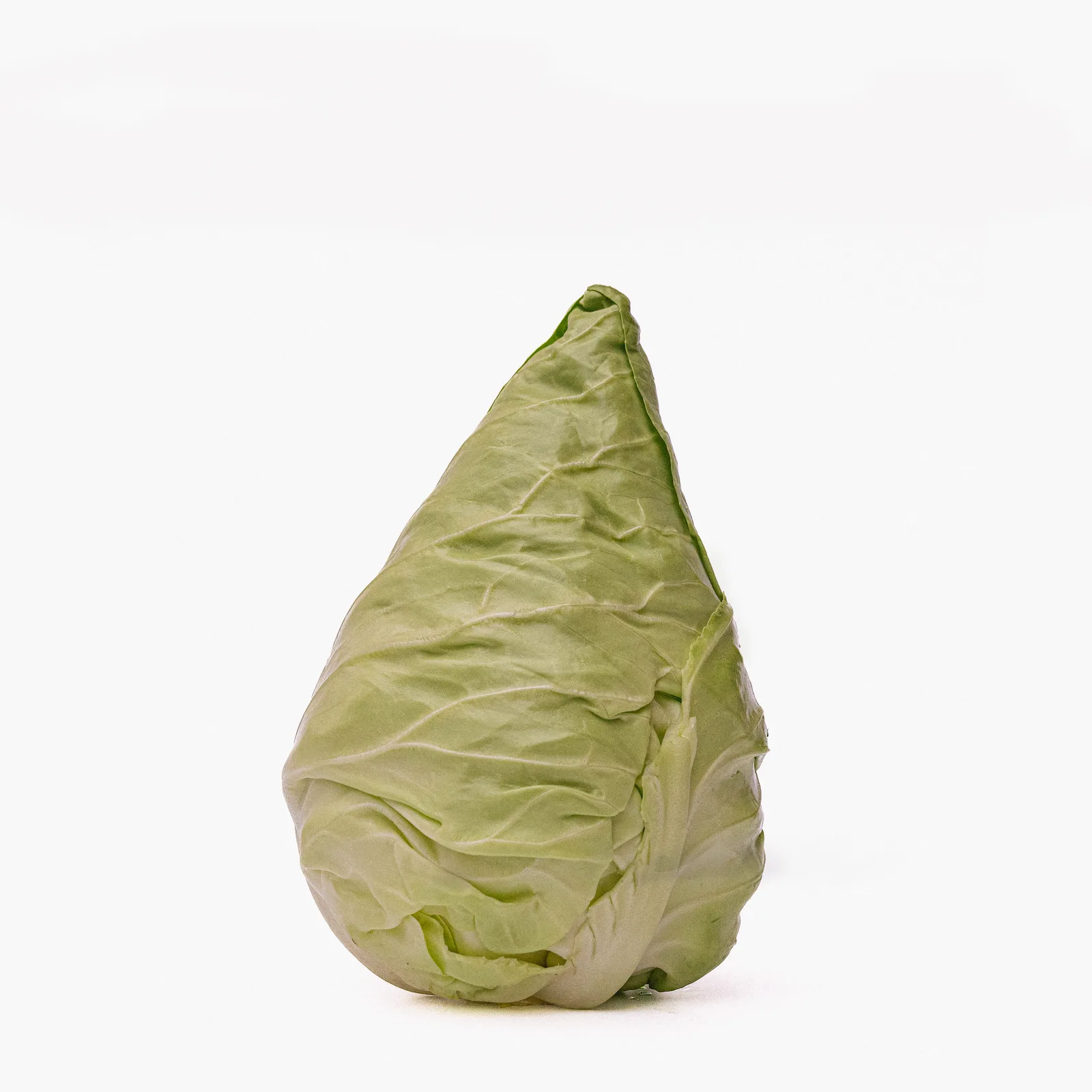 Spitzkohl aus der Serie "Grünes Gemüse"