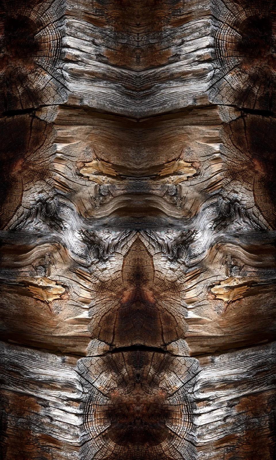 TOTEM#969_BLATTEN NATERS