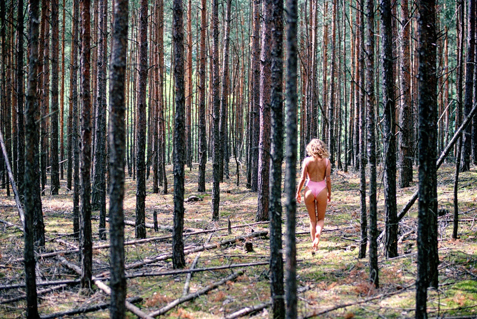 Pink in the Woods