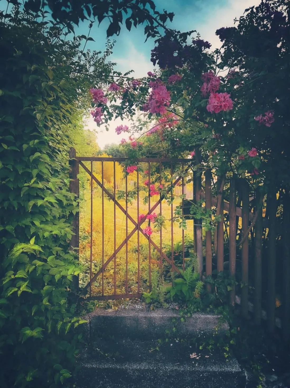The secret garden, all it takes is an open gate ✨