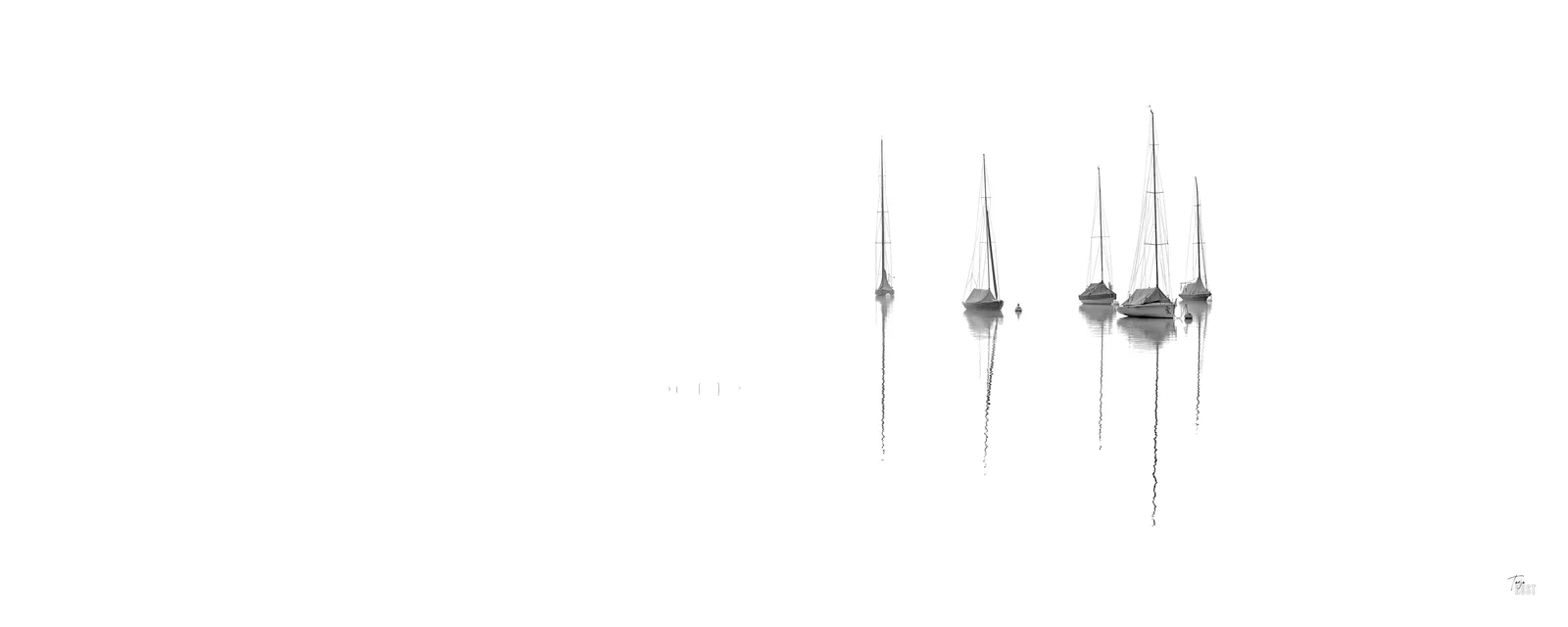 White Line II