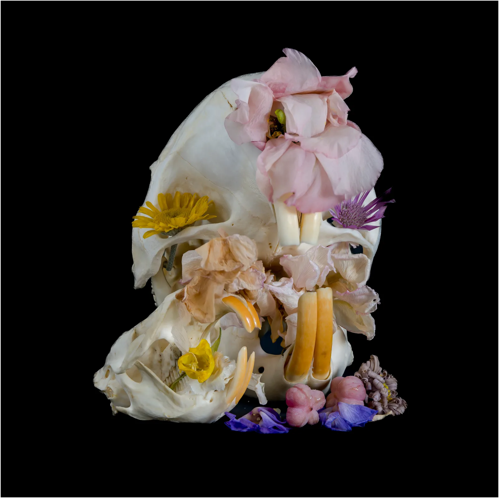 Lost in flowers 2
