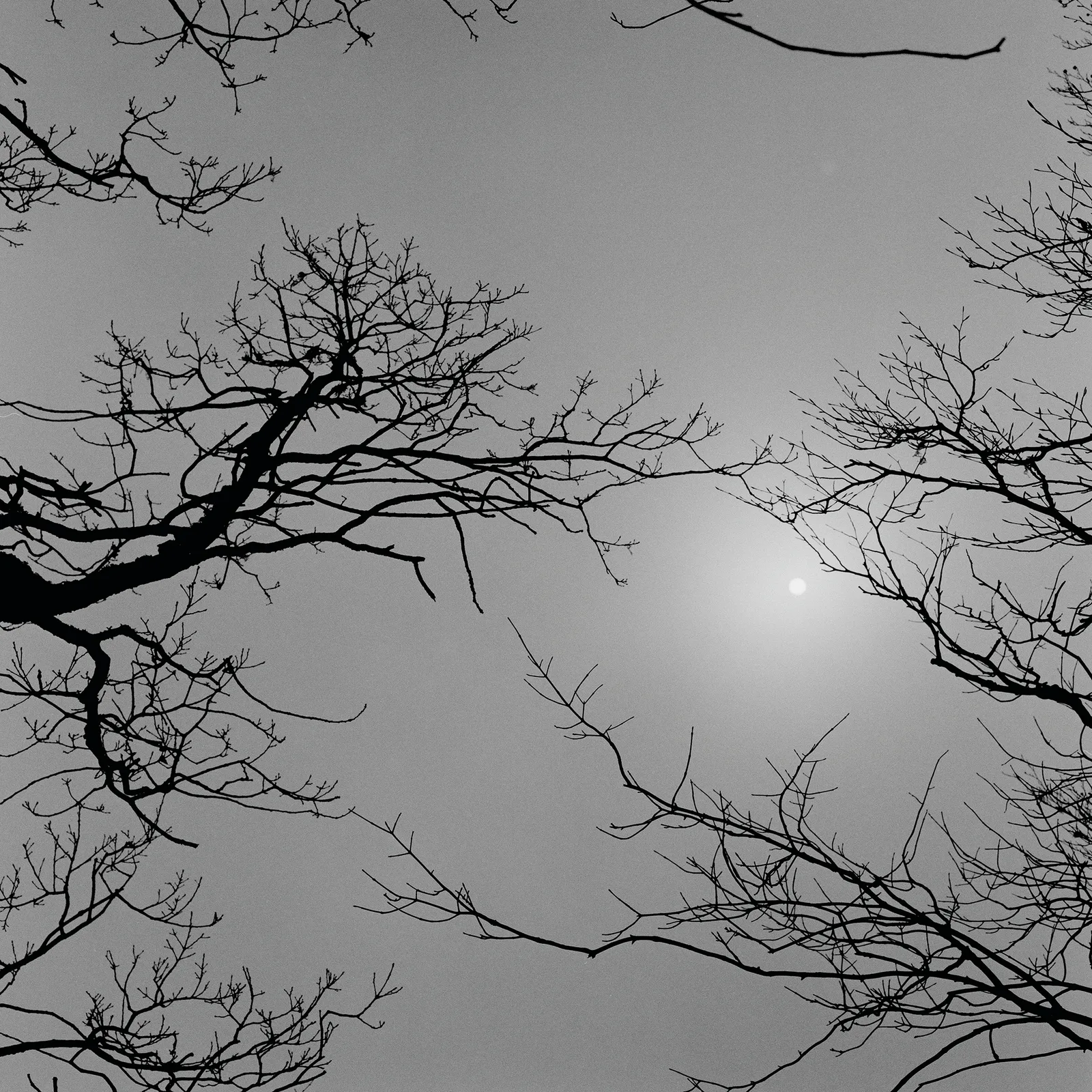 On Silence #12