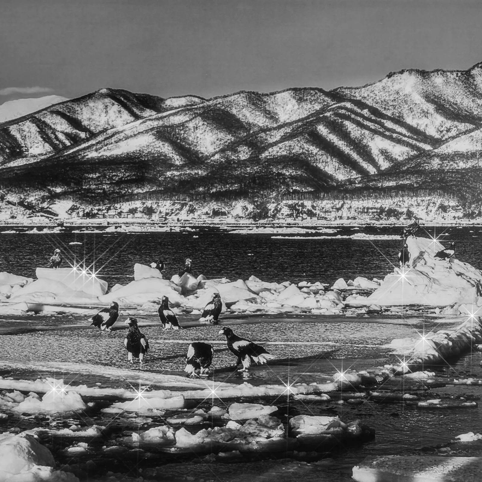 Fishing from pack ice