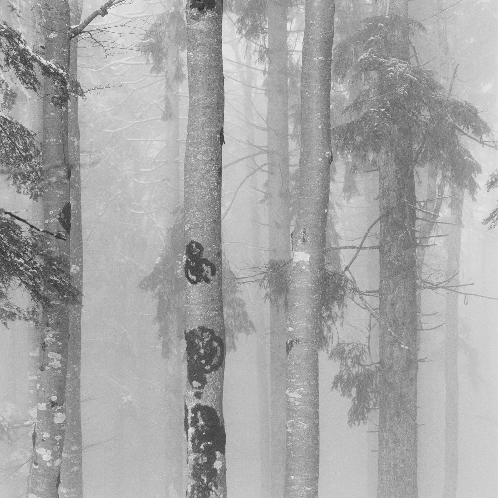 On Silence #11