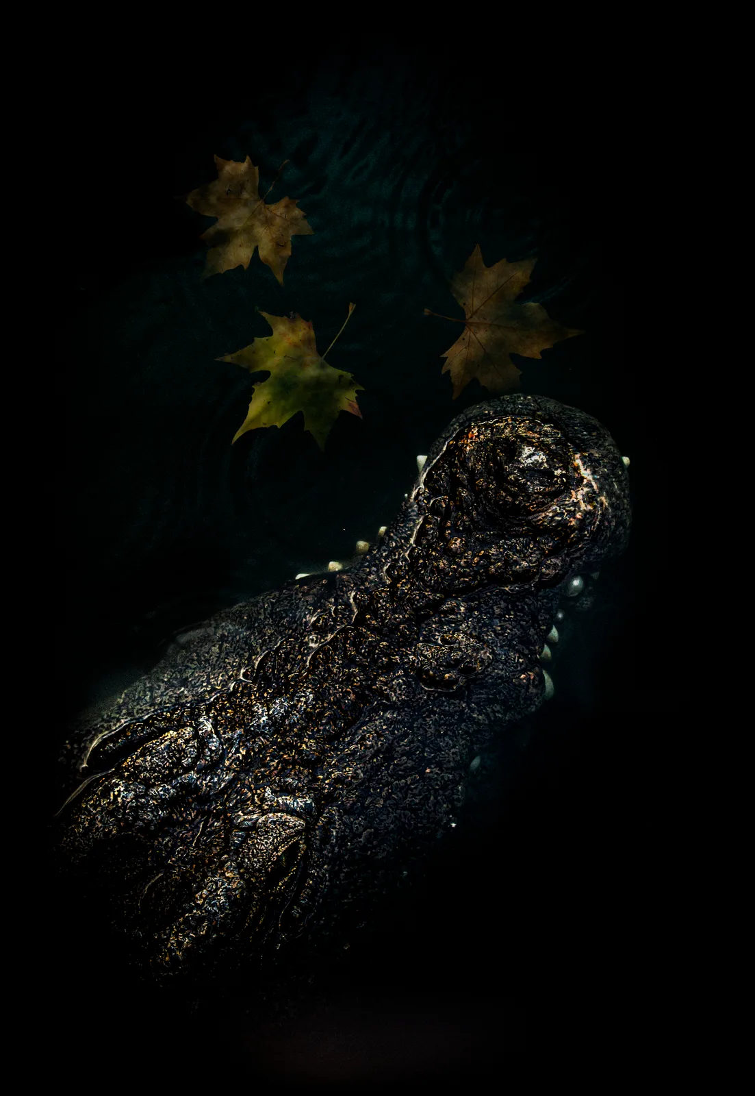 Forest Creature 5