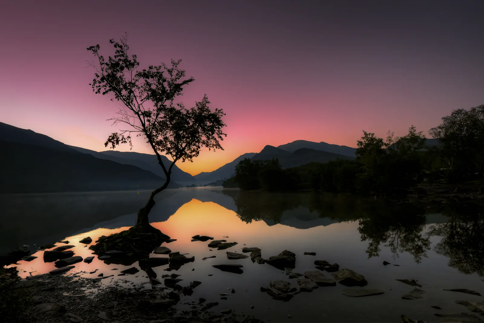 The Lone Tree at sunrise
