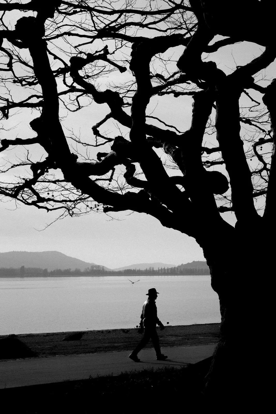 Der Seespaziergang