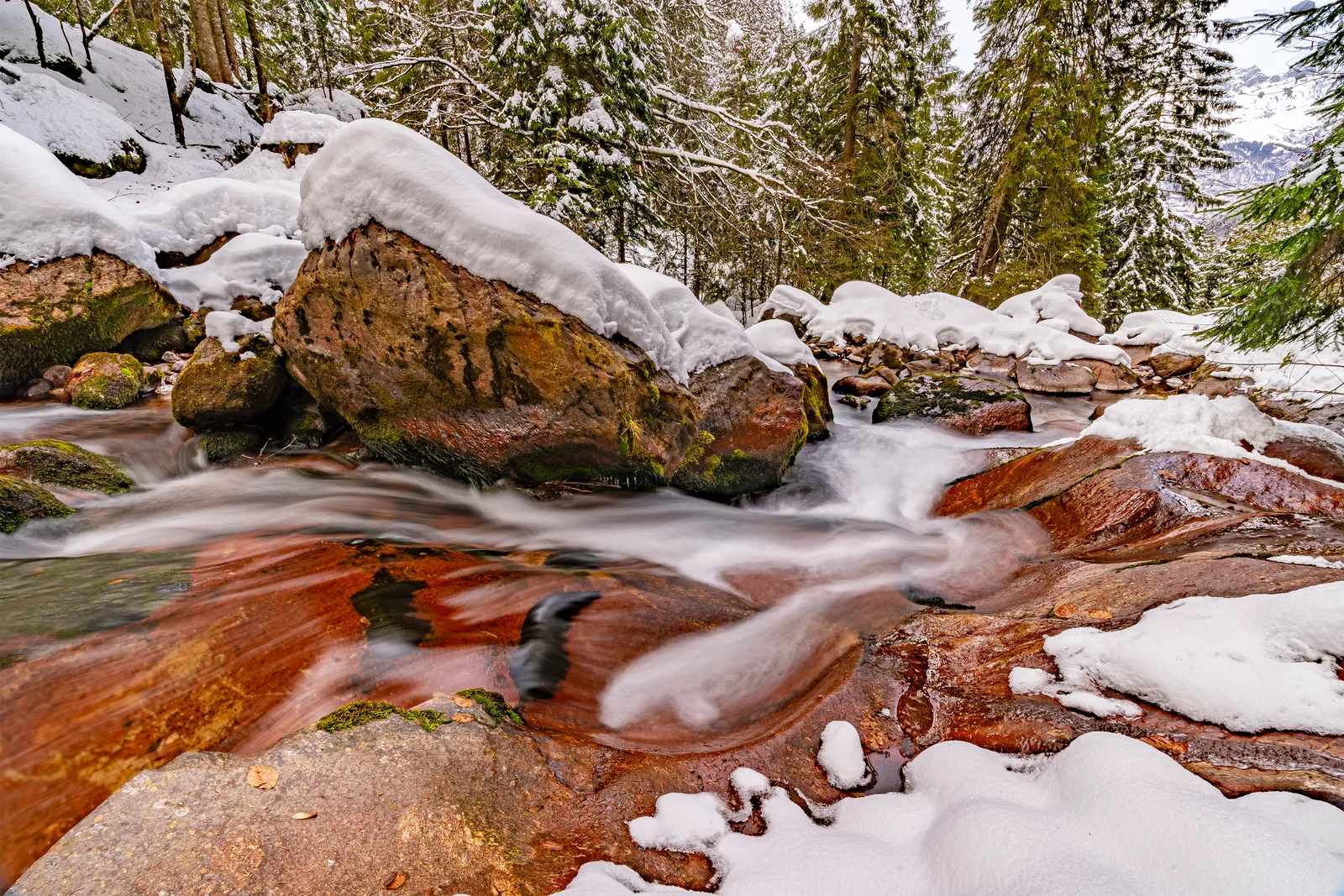 Winter in red