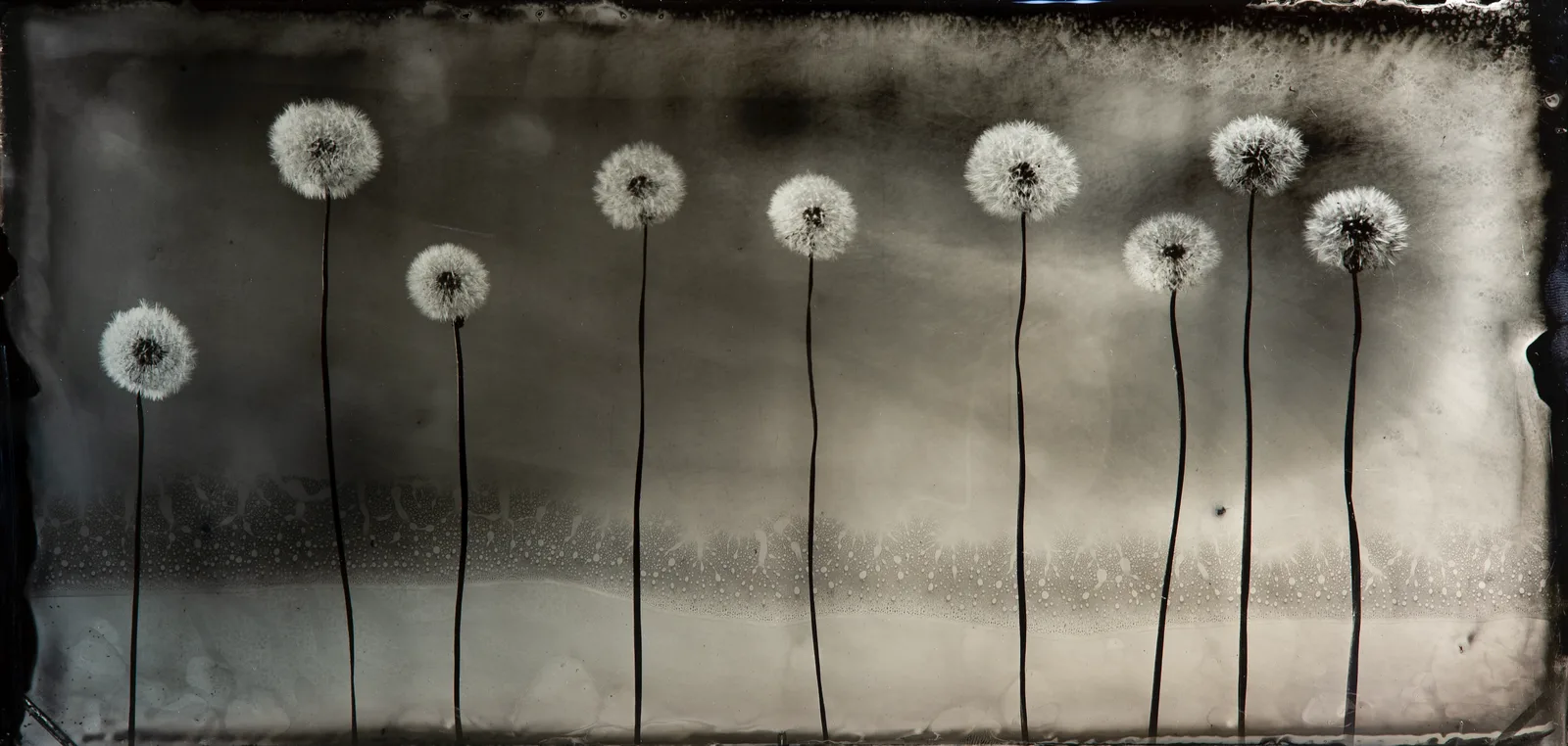 silent winds