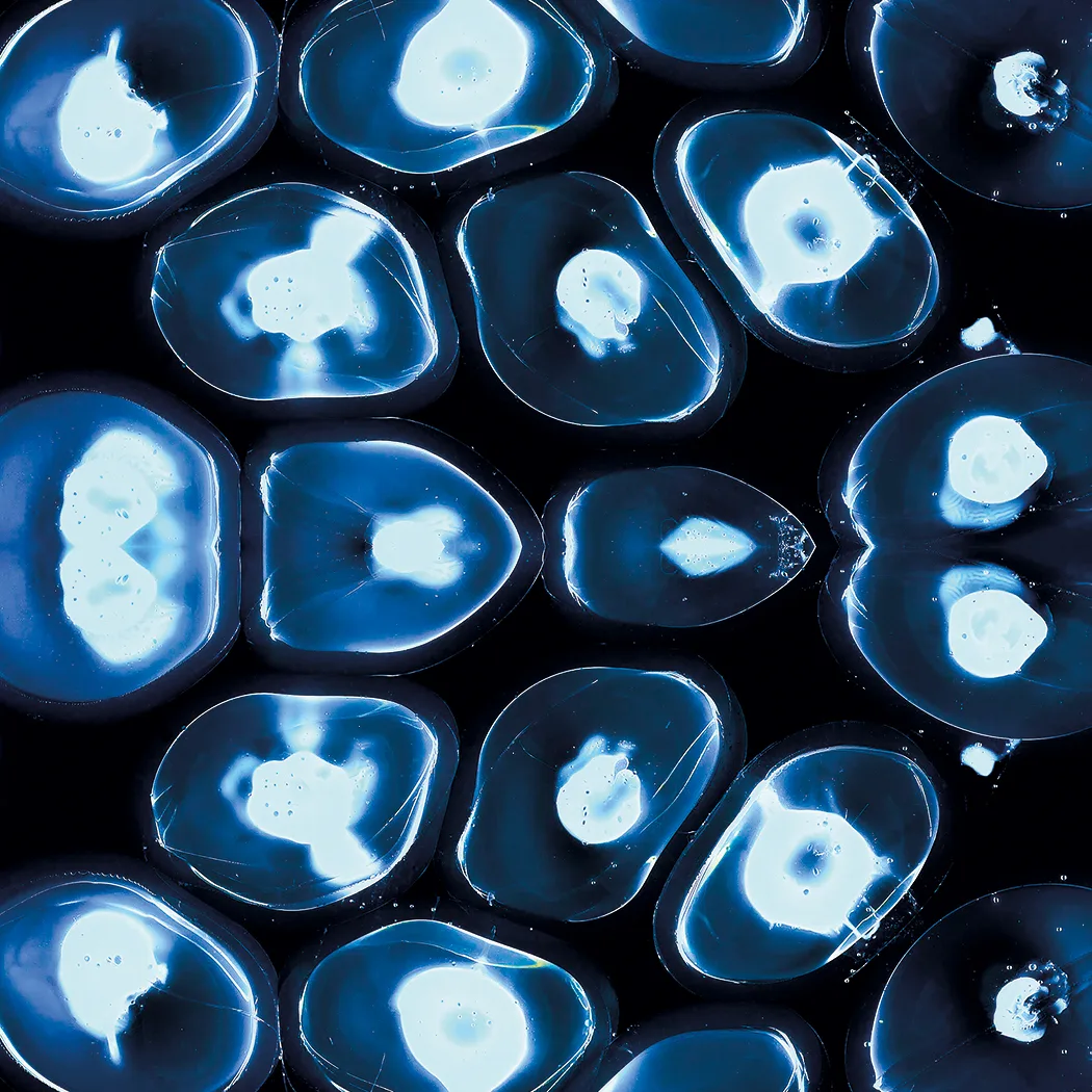 Pills in Water (No. 7)