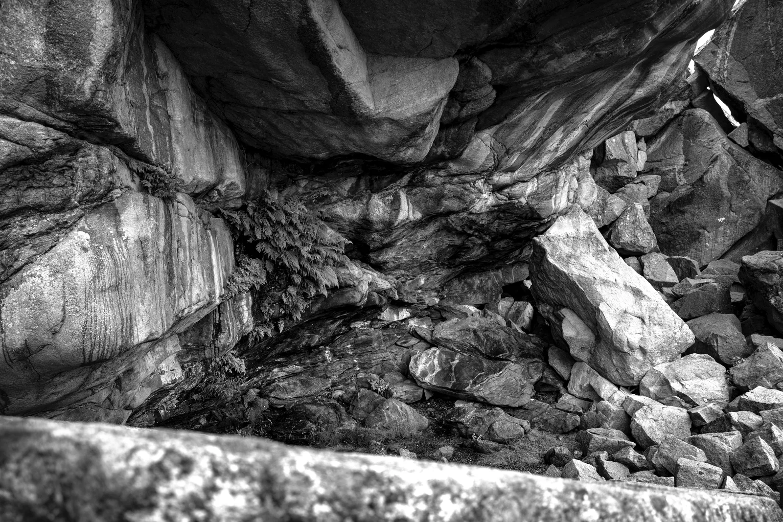 Fern Shrine in the Cliff