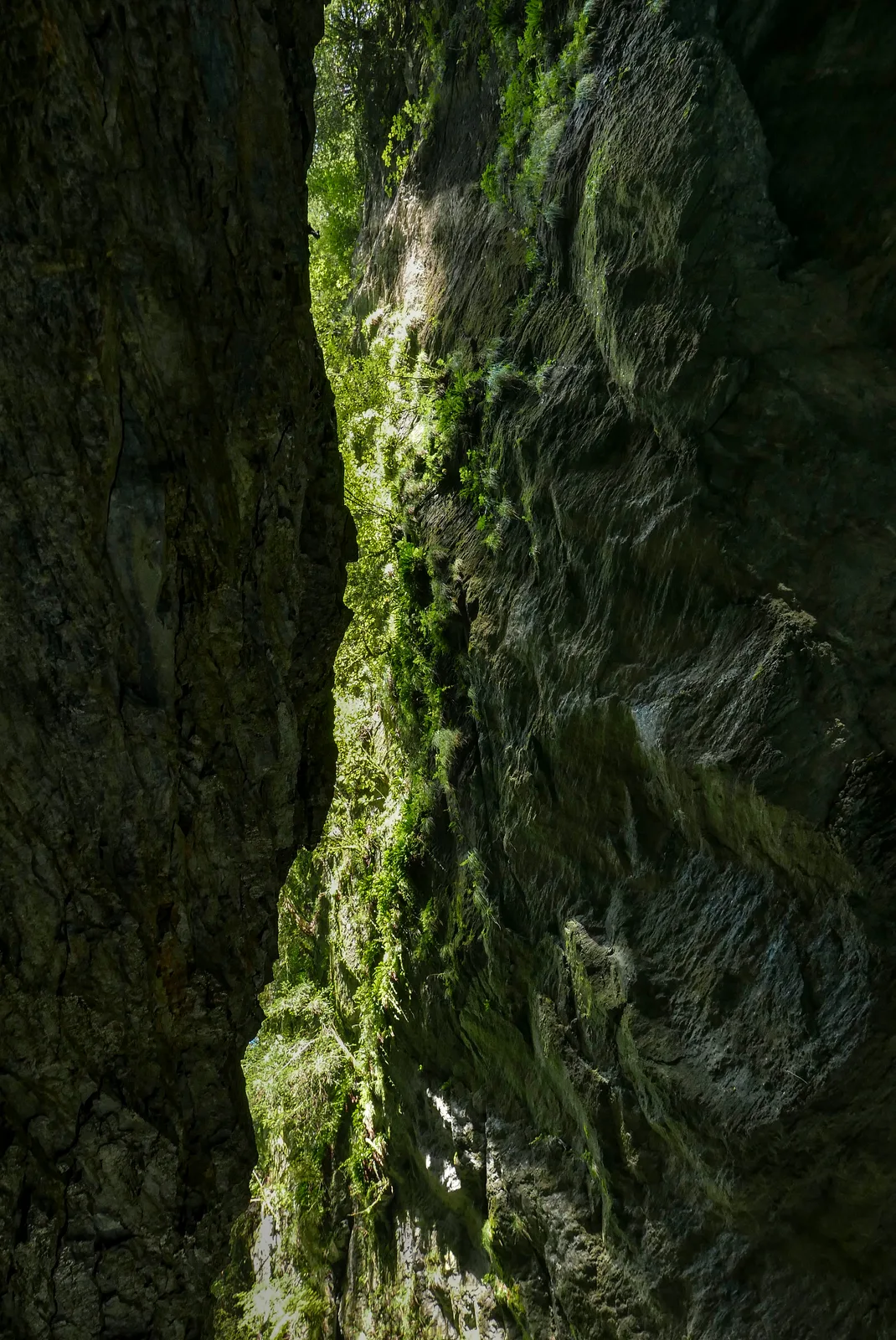 Vertikale 3