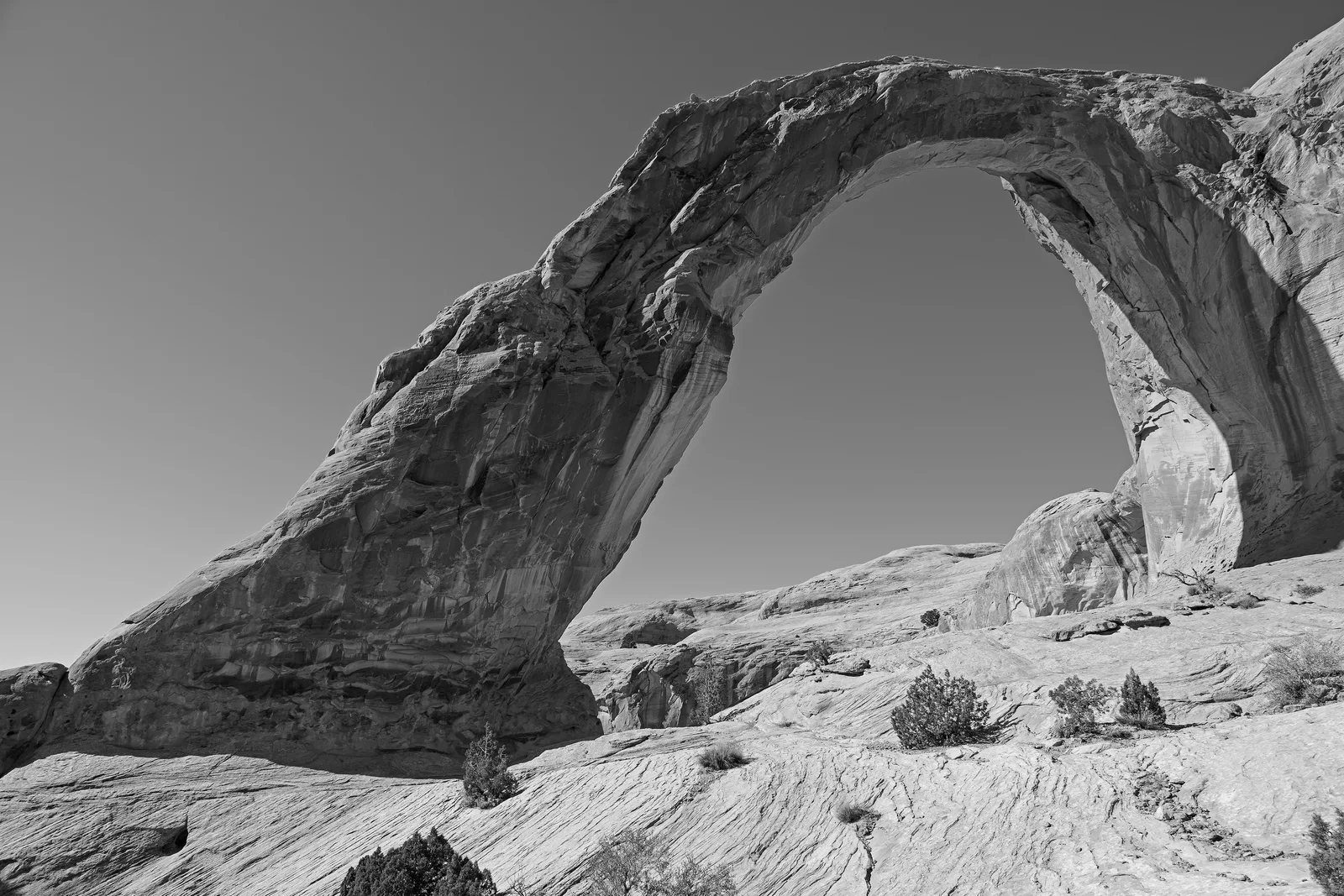 Arch of Wisdom