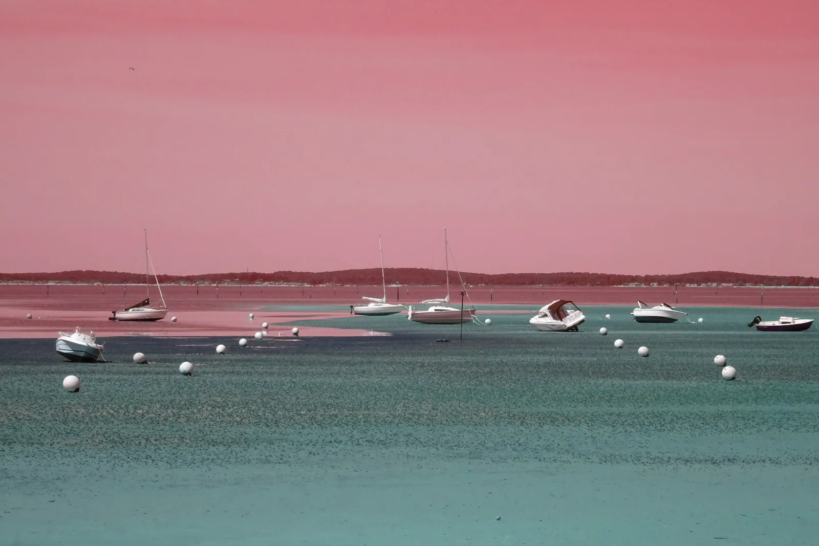 EBBE
LOW TIDE
limited ed. 3/9
