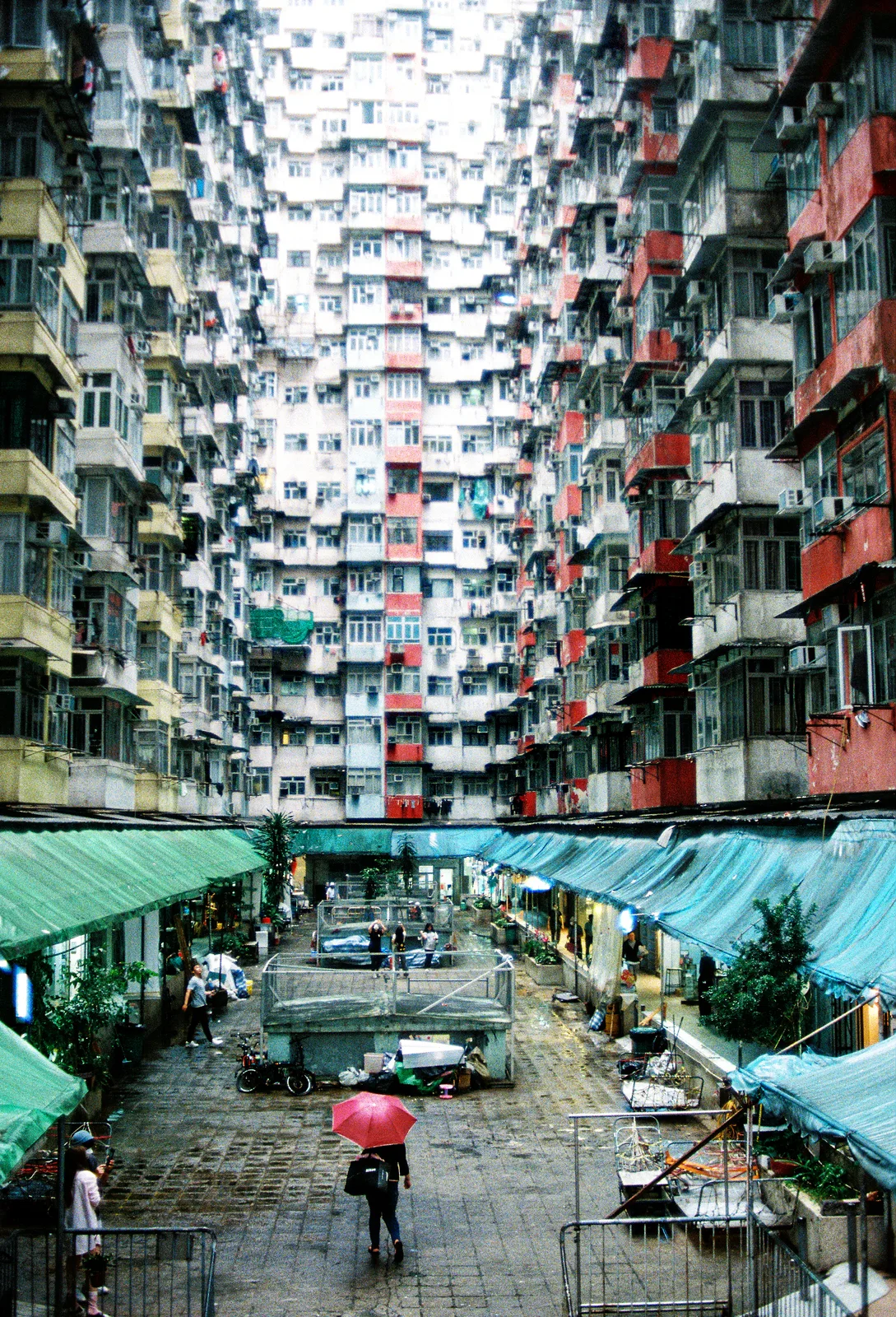 Hong Kong Backyards