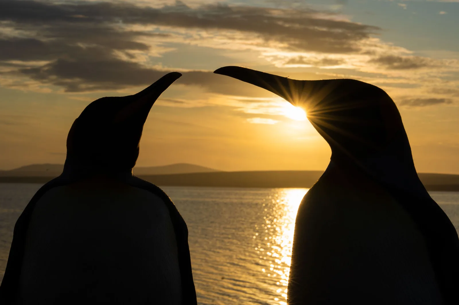 Couple at sunset