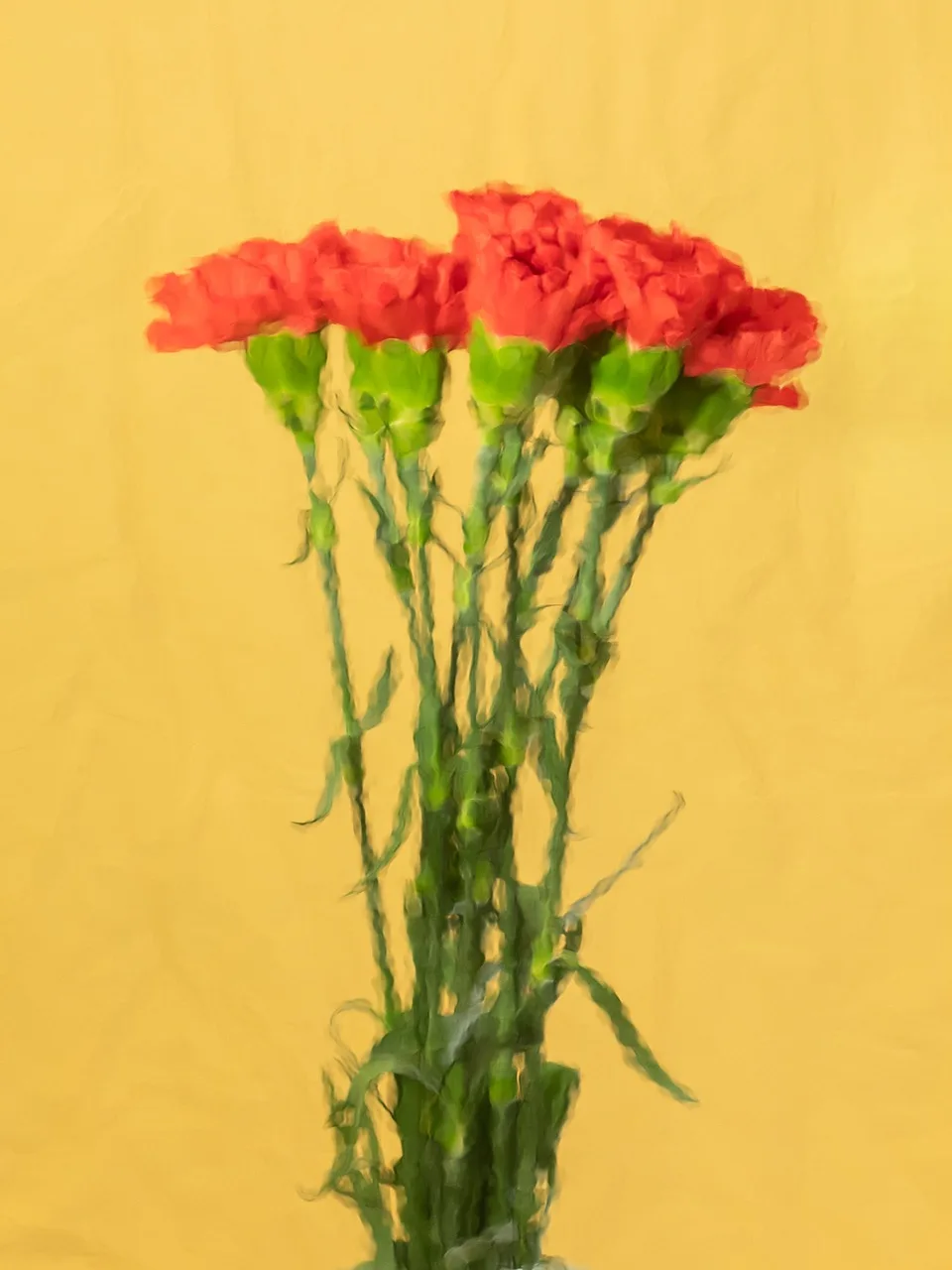 The Fresh Red