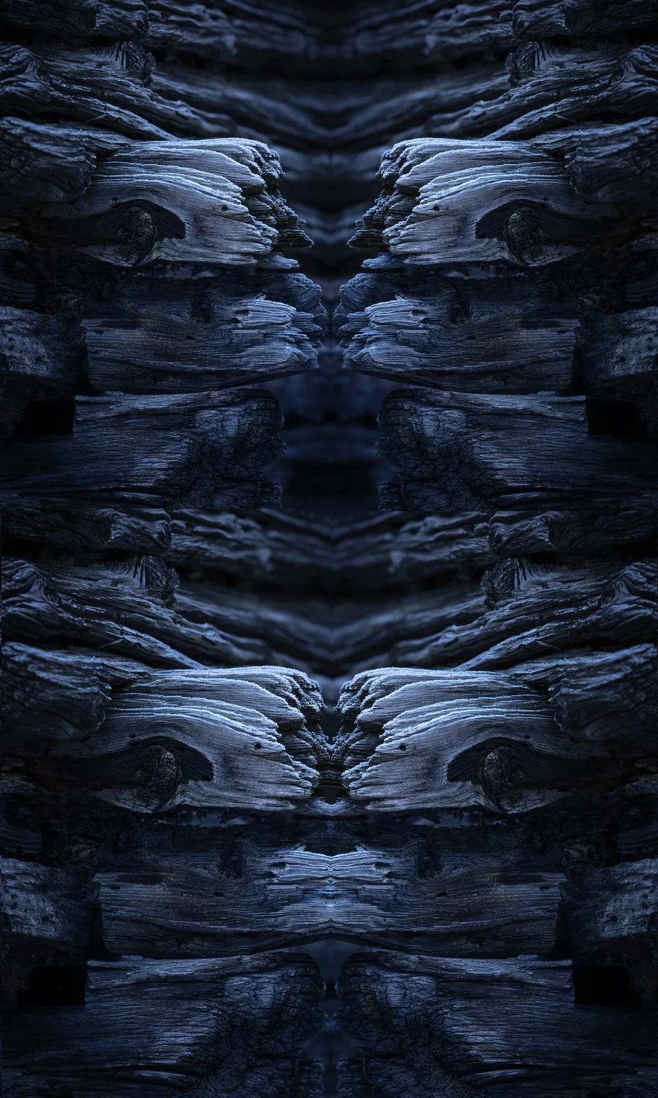 TOTEM#881_BRIGERBAD