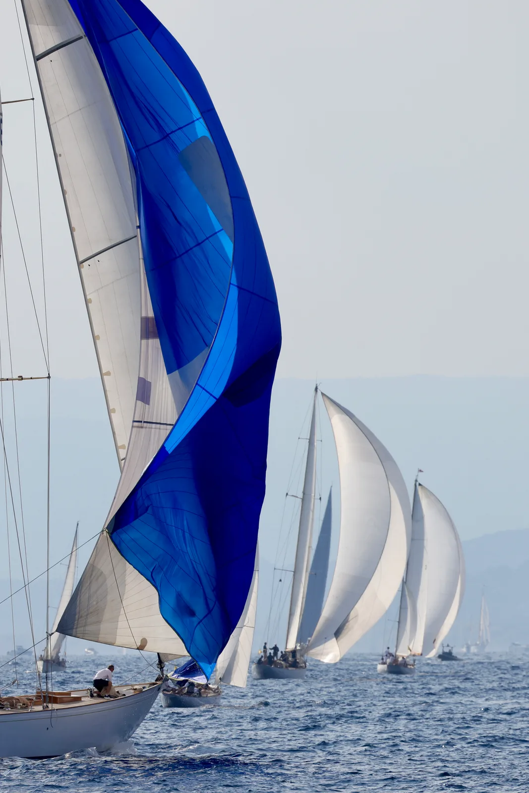 Voile bleue
