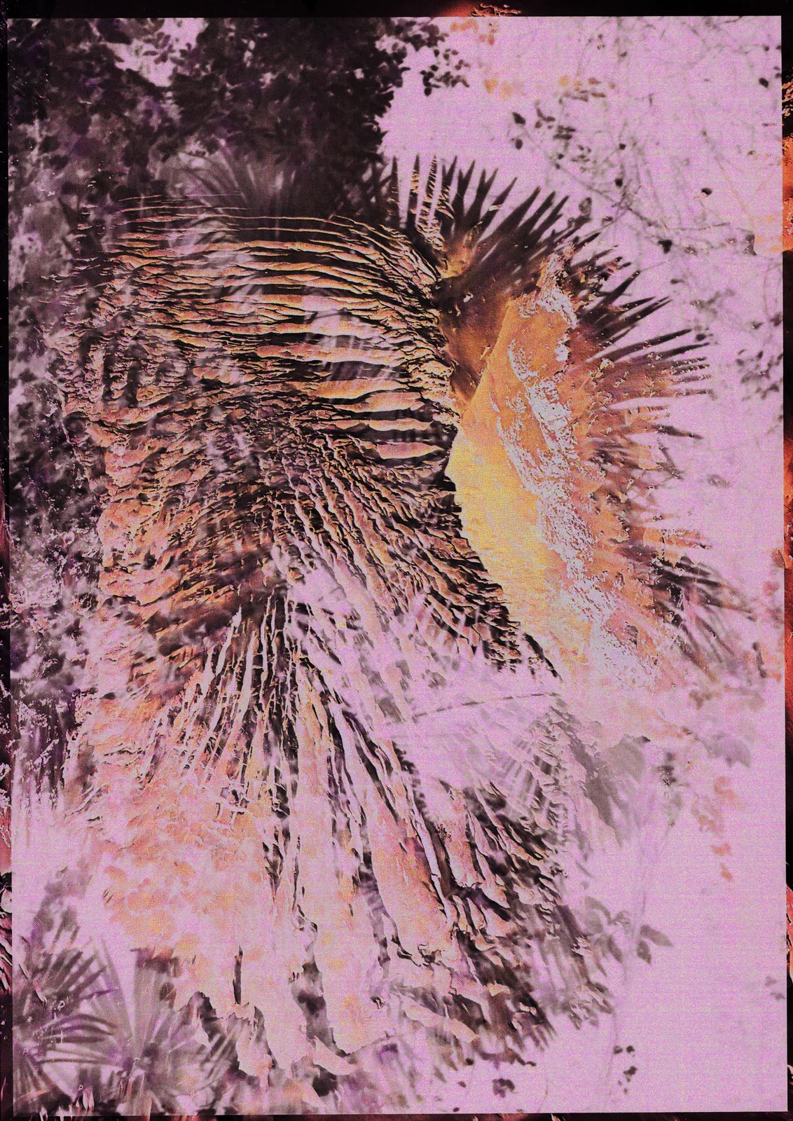 The New Jungle 01